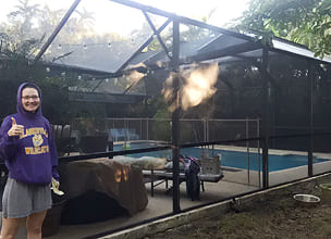 Recent Pool Cage Projects