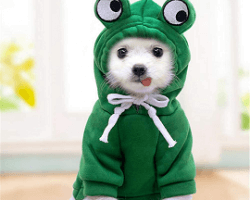 Frog Hoodie For Dogs