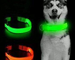 LED Dog Collar