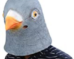 Pigeon Mask