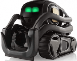 Vector Personal Robot